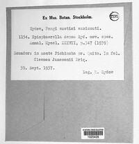 Image Associated With the Occurence